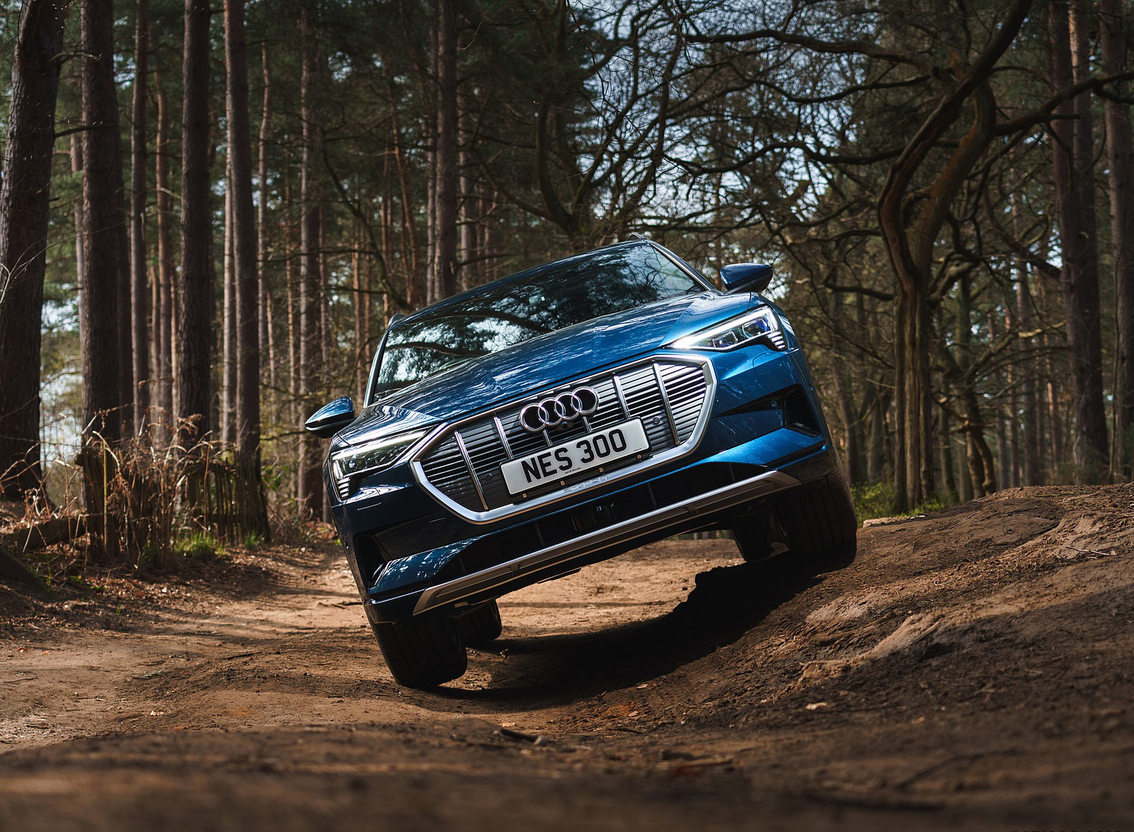 2019 Audi e-tron 55 (UK-Spec) Off-Road Wallpapers  #67 of 156